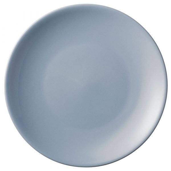 Arabia 24h Usva Lautanen Sininen Ø26 Cm