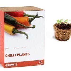 Chilikasvin kasvatuspaketti