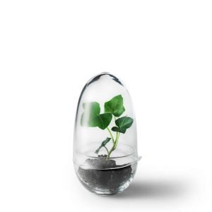 Design House Stockholm Grow Small Minikasvihuone 8 Cm