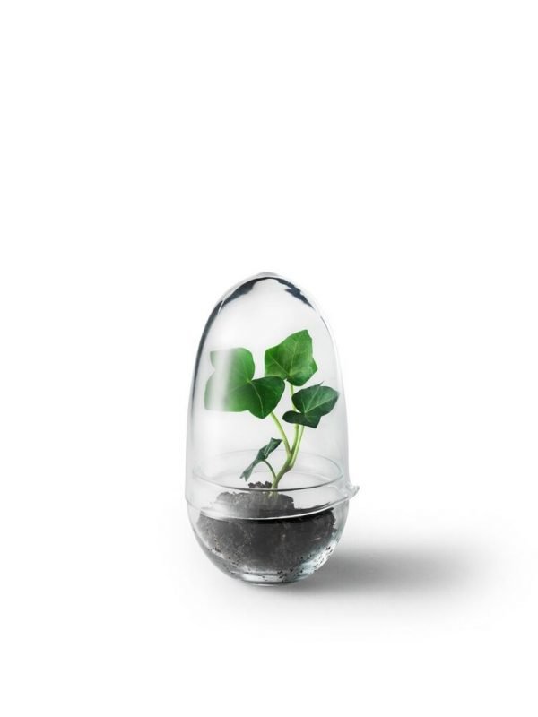 Design House Stockholm Grow Small Minikasvihuone 8 Cm