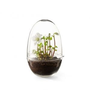 Design House Stockholm Grow X Large Minikasvihuone 20 Cm