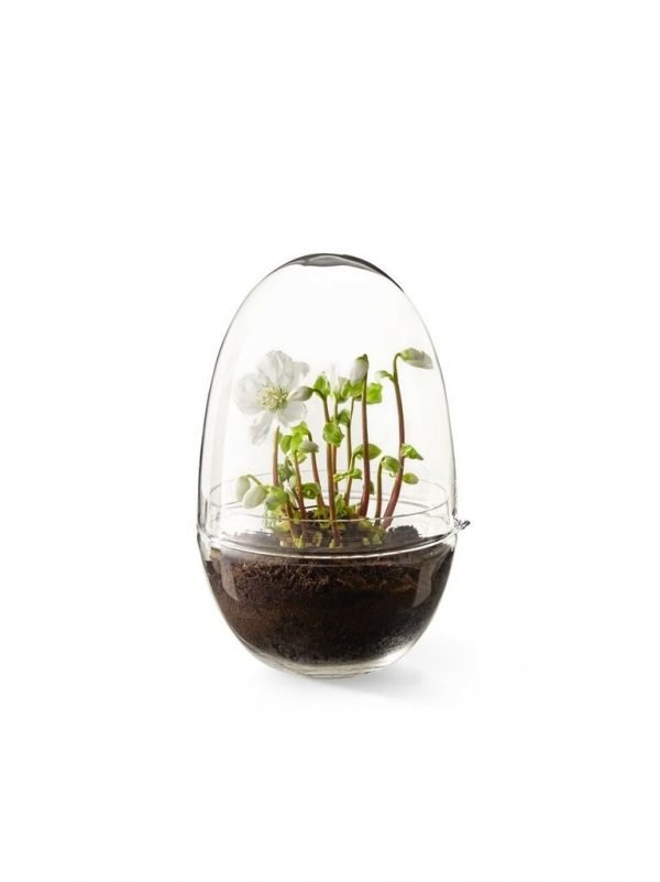 Design House Stockholm Grow X Large Minikasvihuone 20 Cm