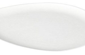 Duni Lautanen 27 cm Bagasse Bio 10 kpl