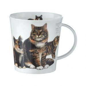 Dunoon Cairngorm Cats & Kittens Muki 0