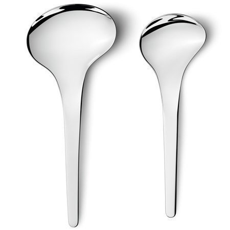 Georg Jensen Bloom tarjoilulusikka 2 osaa