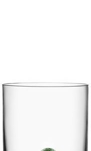 Kosta Boda New Friends Tumbler lintu 40 cl