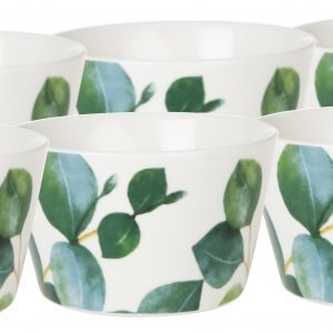 Koti Eucalyptus Kipot 6 Kpl