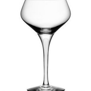 Orrefors Intermezzo Satin Champagne Coupe 23 cl