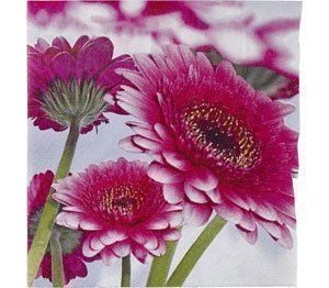 Paperiservetti Gerbera 20kpl 33cm x 33cm