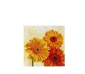 Paperiservetti Gerbera 20kpl 33cm x 33cm