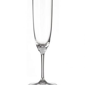 Riedel Vinum Champagne Lasi 2 Kpl