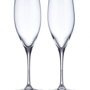 Riedel Vinum Cuvee Prestige Kuohuviinilasi 2 Kpl