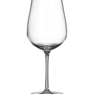 Schott Zwiesel Air Riesling Viinilasi 306 Ml 2 Kpl