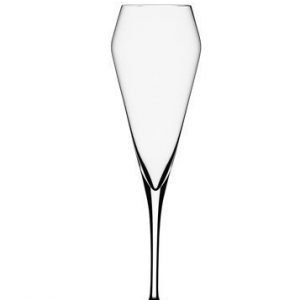 Spiegelau Willsberger Champagne 24cl 4-p