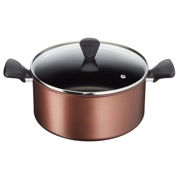 Tefal Resource Kattila 24 Cm