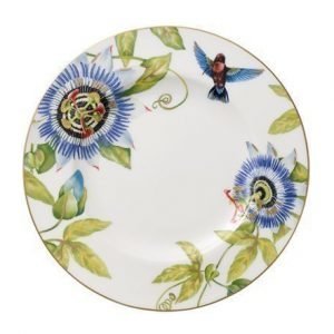 Villeroy & Boch Amazonia Anmut Lautanen 27cm