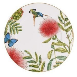 Villeroy & Boch Amazonia Anmut Lautanen 30cm