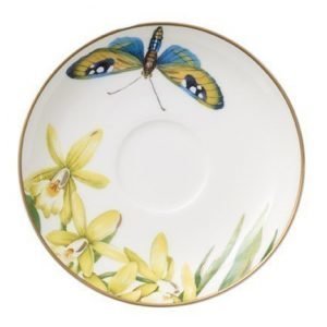 Villeroy & Boch Amazonia Anmut vati espres.Kuppi 12cm