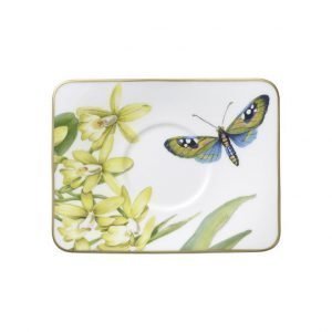 Villeroy & Boch Amazonia Espressolautanen 14x11 Cm