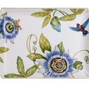 Villeroy & Boch Amazonia Gifts Decorative Lautanen