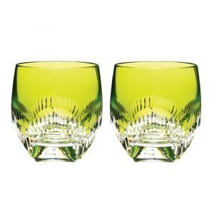 Waterford Mixology Echo Tumbler Lasi Lime 2 Kpl